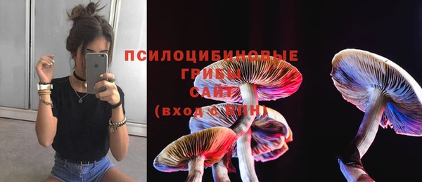 mix Фёдоровский