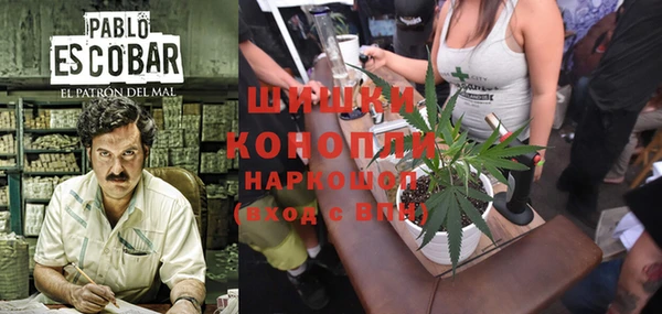 a pvp Корсаков
