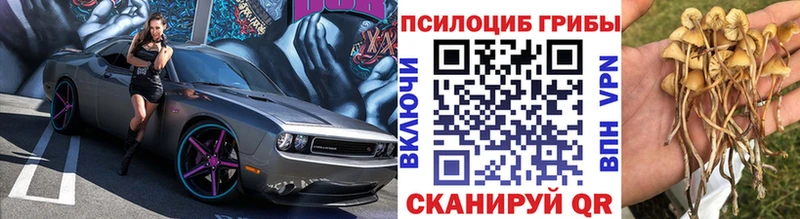 Галлюциногенные грибы Cubensis  ОМГ ОМГ зеркало  Киров 