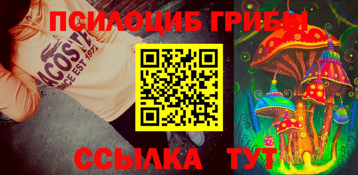 Киров  Псилоцибиновые грибы ЛСД  Галлюциногенные грибы Psilocybine cubensis  Вход с VPN 