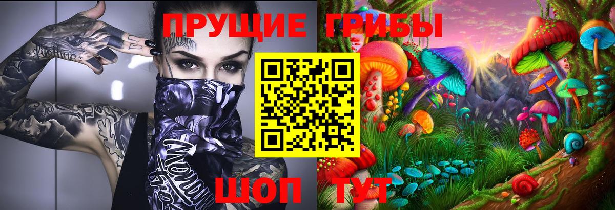 Псилоцибиновые грибы Cubensis Киров